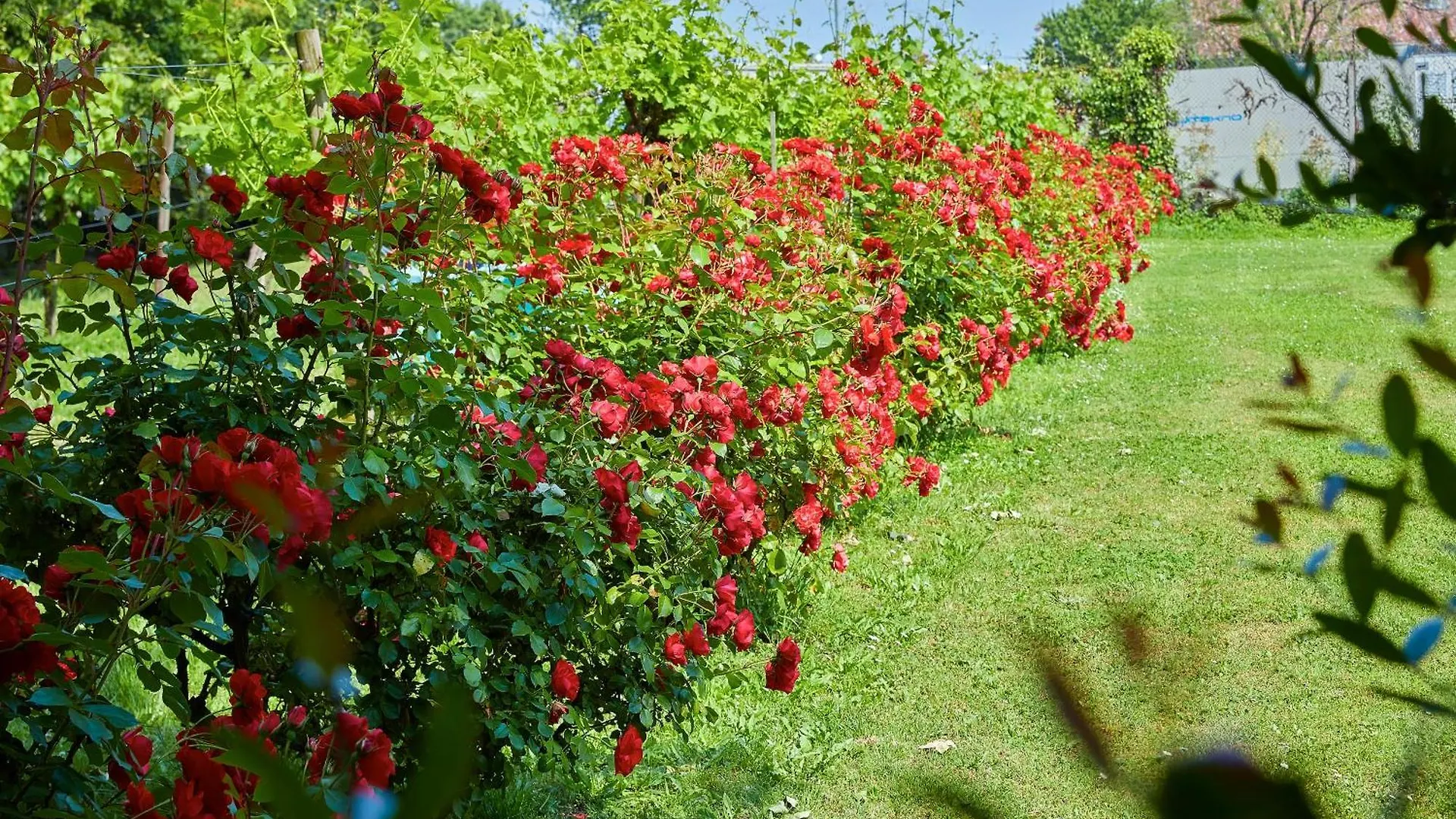 Villa Milesi In Franciacorta Erbusco